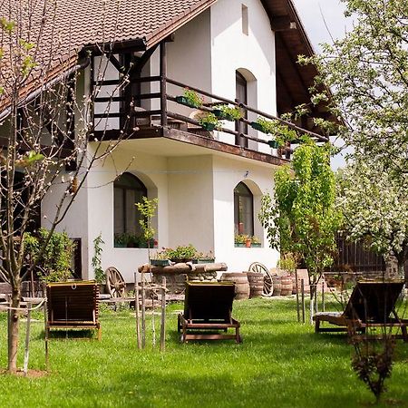 Casa Mosului - Transfagarasan Bed & Breakfast Cîrţişoara Exteriér fotografie