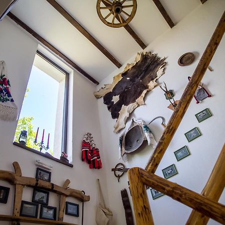 Casa Mosului - Transfagarasan Bed & Breakfast Cîrţişoara Exteriér fotografie