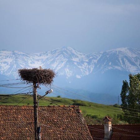 Casa Mosului - Transfagarasan Bed & Breakfast Cîrţişoara Exteriér fotografie