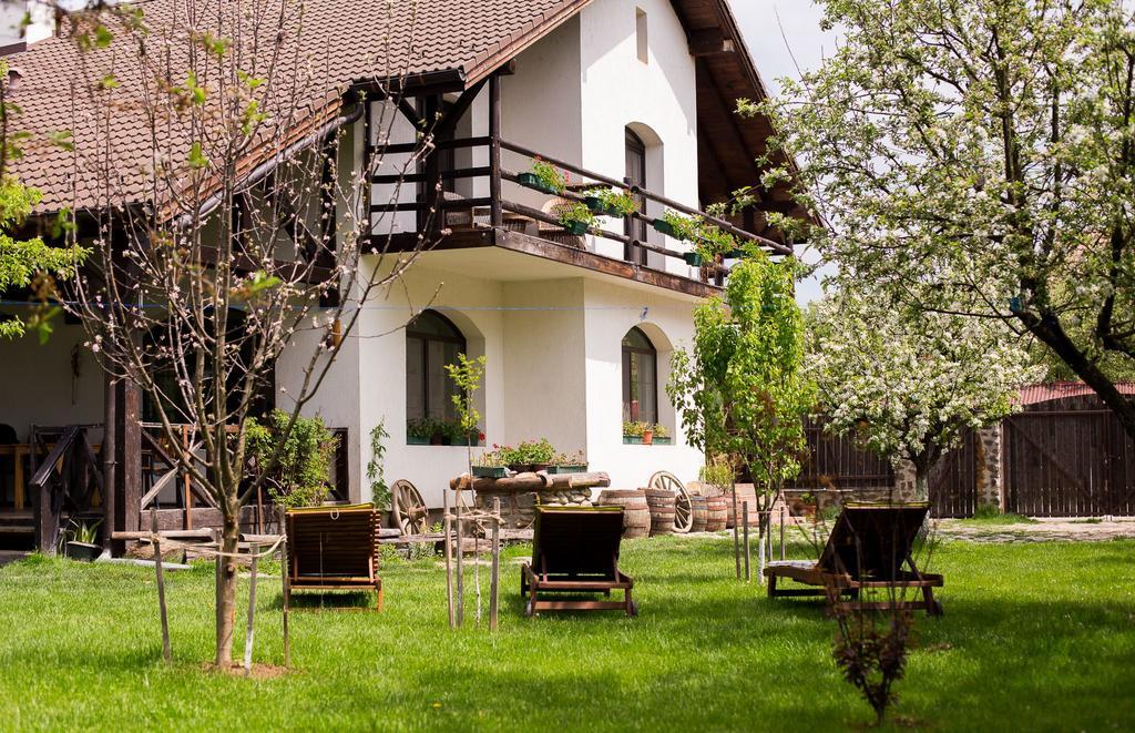 Casa Mosului - Transfagarasan Bed & Breakfast Cîrţişoara Exteriér fotografie