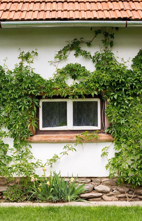 Casa Mosului - Transfagarasan Bed & Breakfast Cîrţişoara Exteriér fotografie
