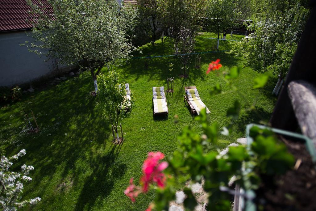 Casa Mosului - Transfagarasan Bed & Breakfast Cîrţişoara Exteriér fotografie