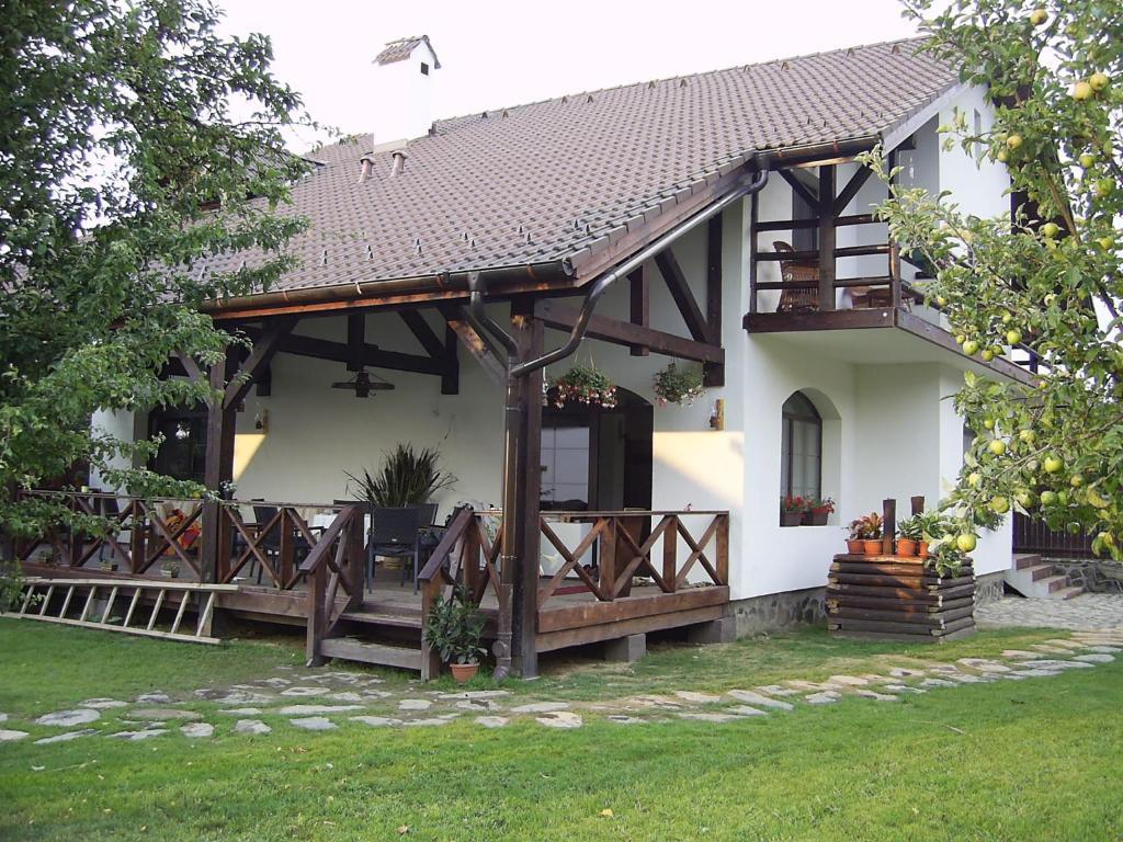 Casa Mosului - Transfagarasan Bed & Breakfast Cîrţişoara Exteriér fotografie