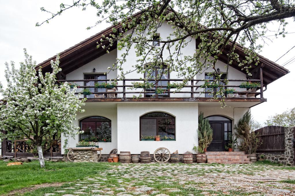 Casa Mosului - Transfagarasan Bed & Breakfast Cîrţişoara Exteriér fotografie