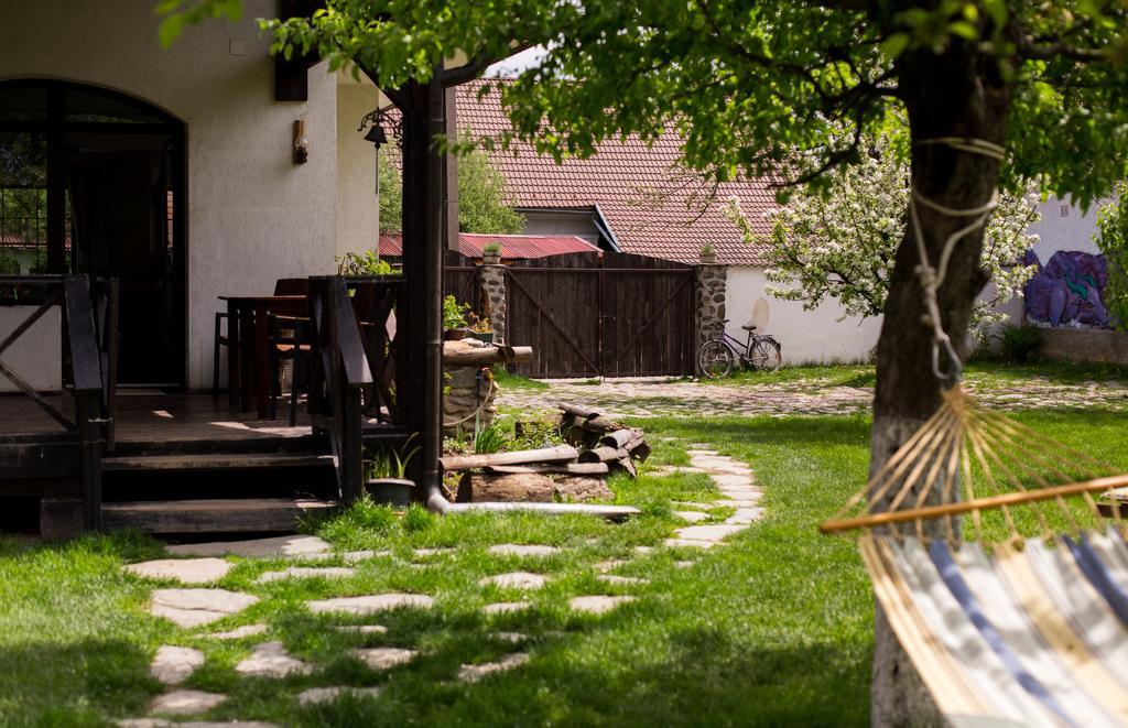 Casa Mosului - Transfagarasan Bed & Breakfast Cîrţişoara Exteriér fotografie