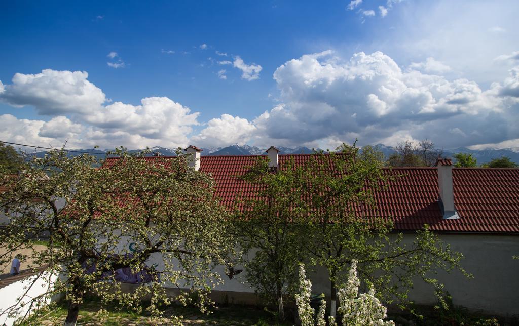 Casa Mosului - Transfagarasan Bed & Breakfast Cîrţişoara Exteriér fotografie