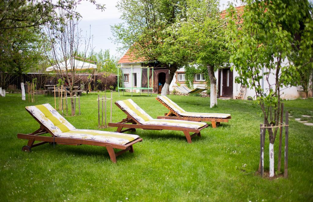 Casa Mosului - Transfagarasan Bed & Breakfast Cîrţişoara Exteriér fotografie