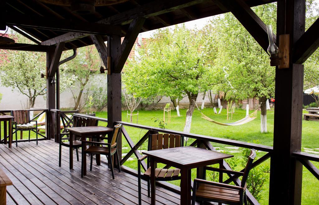 Casa Mosului - Transfagarasan Bed & Breakfast Cîrţişoara Exteriér fotografie
