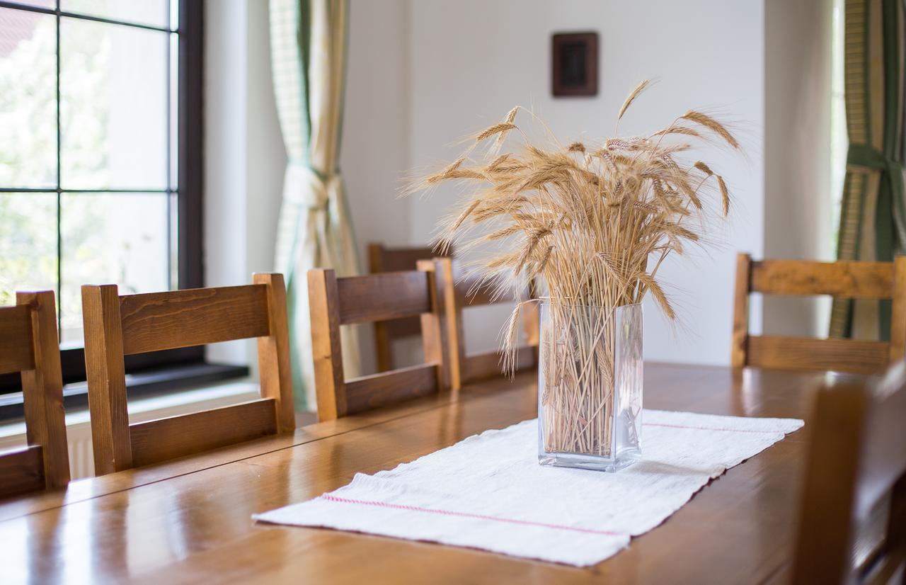 Casa Mosului - Transfagarasan Bed & Breakfast Cîrţişoara Exteriér fotografie