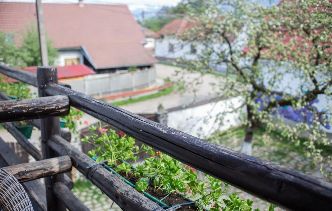 Casa Mosului - Transfagarasan Bed & Breakfast Cîrţişoara Exteriér fotografie