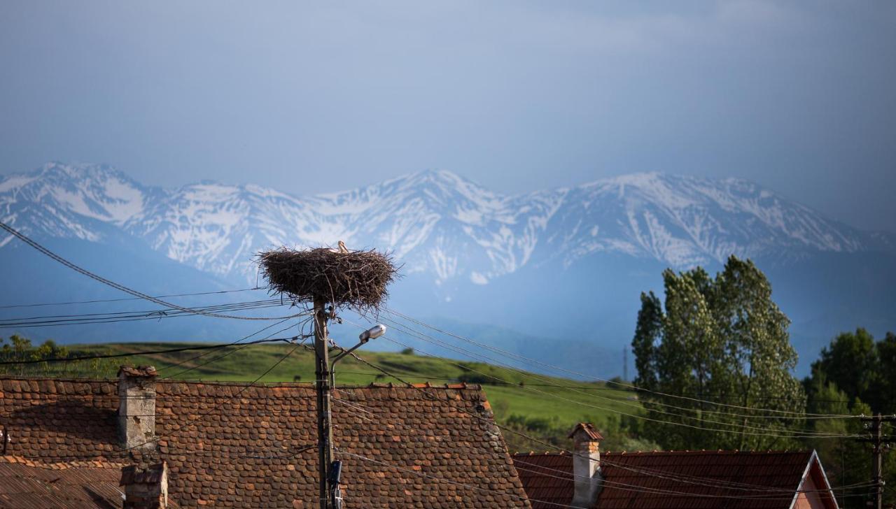 Casa Mosului - Transfagarasan Bed & Breakfast Cîrţişoara Exteriér fotografie